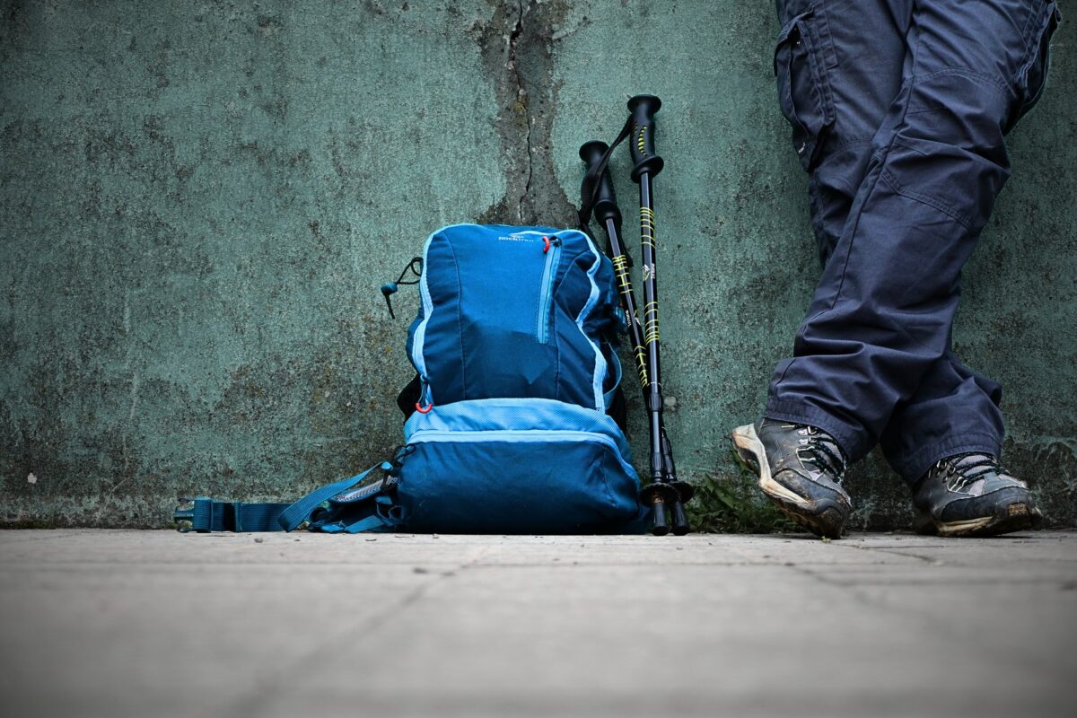 voyager roller sac organiser dos